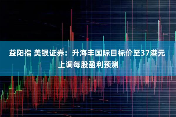 益阳指 美银证券：升海丰国际目标价至37港元 上调每股盈利预测