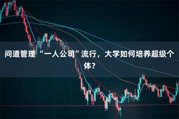 问道管理 “一人公司”流行，大学如何培养超级个体？